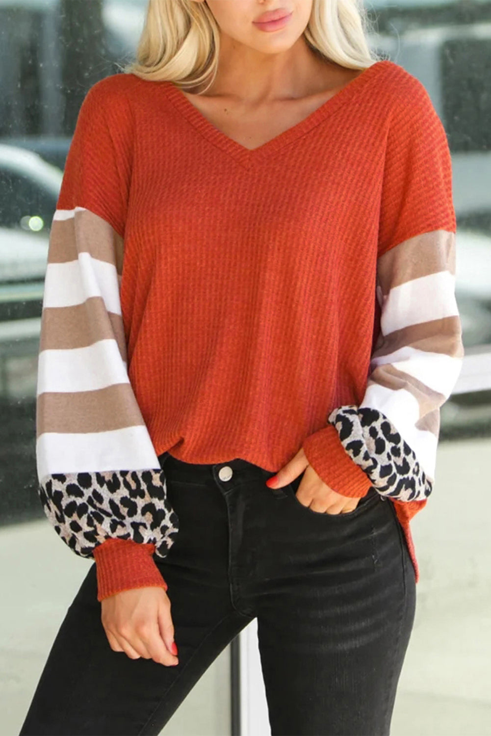 Striped and Leopard Print Color Block V Neck Long Sleeve Top